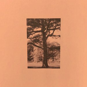 国产熟女高潮一区二区三区
